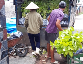 25/8 2019  giao 7000 gáo ngọn trắng lên gia lai