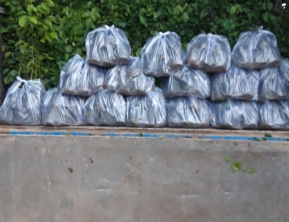 29/9/2019 giao 4000 cây giáng hương về đak nông