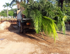 1/11 giao 10 cau vua lóng 2m5 về vũng tàu