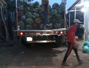 29/11/ 2019 giao 300 cây lim sẹt đường kính 8, 9  về bến tre