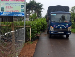 1/7/2020 giao 2000 sao đen về phú giáo bình dương