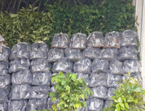 8/10/ 2021 giao cây cừ về ninh thuận