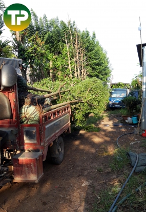 Giao bàng đài loan đk 9cm